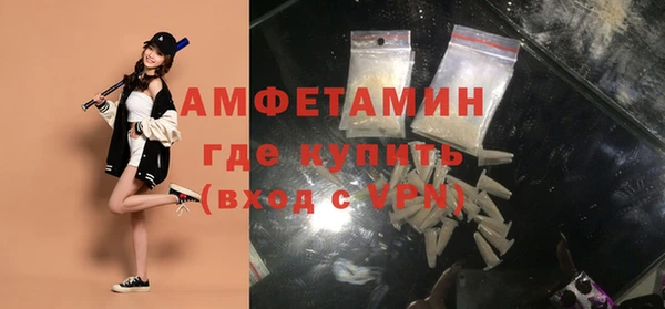 шишки Верея