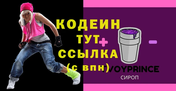 шишки Верея