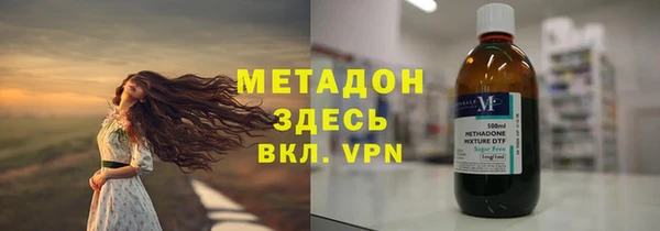 шишки Верея