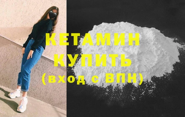 шишки Верея