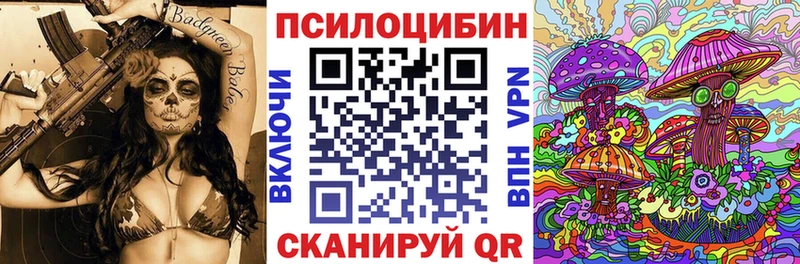 наркота Мончегорск Галлюциногенные грибы Psilocybine cubensis